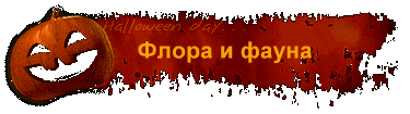 Флора и фауна